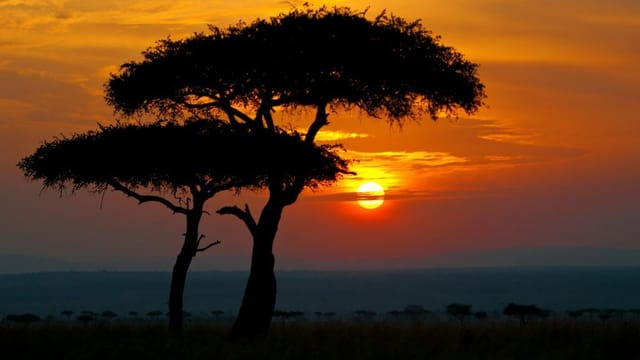 The Real Reason Why Africa Was Called the Dark Continent