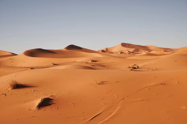 How the Sahara Desert Went from a Lush, Inhabited Land to a Wasteland