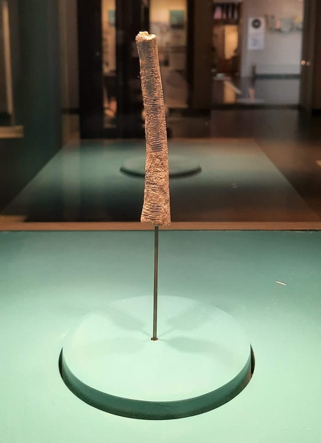 The Ishango bone on display, a dark baboon bone covered in carved tally marks.