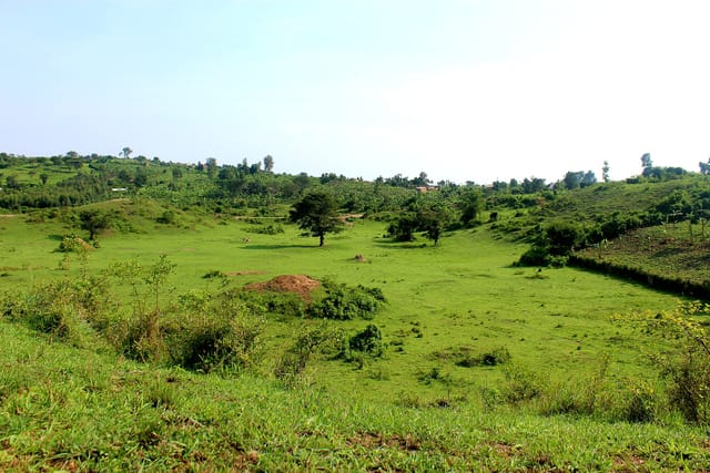 The green Bwogero basin at Ntusi, Uganda, among the earthworks of the ancient Kitara empire