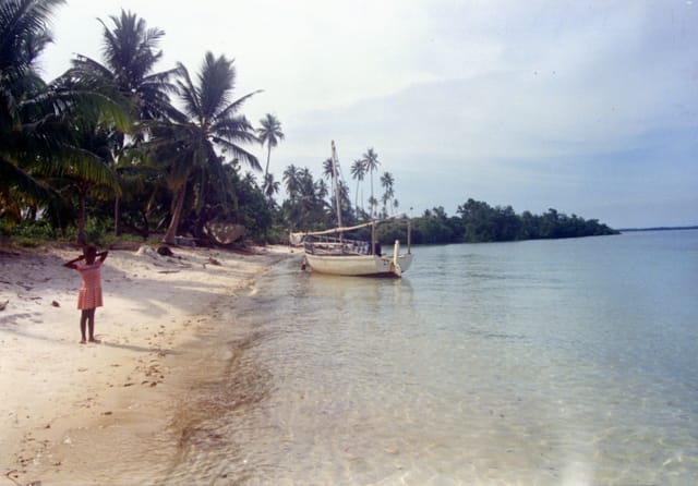 The shore of Mafia Island, Tanzania, off the Rufiji Delta, the leading candidate for the location of ancient Rhapta