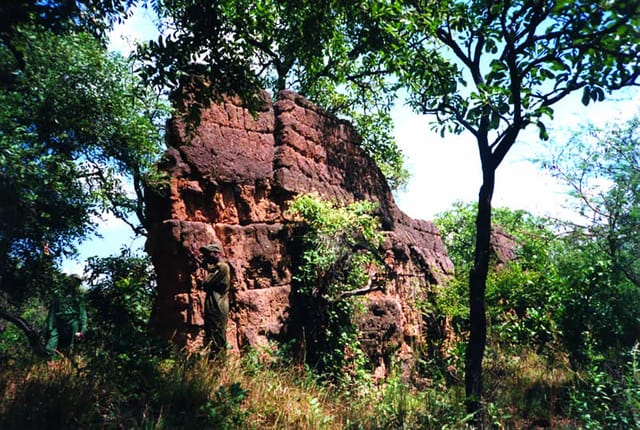 The laterite wall of Sungbo's Eredo rising from the Nigerian rainforest, with a person for scale.